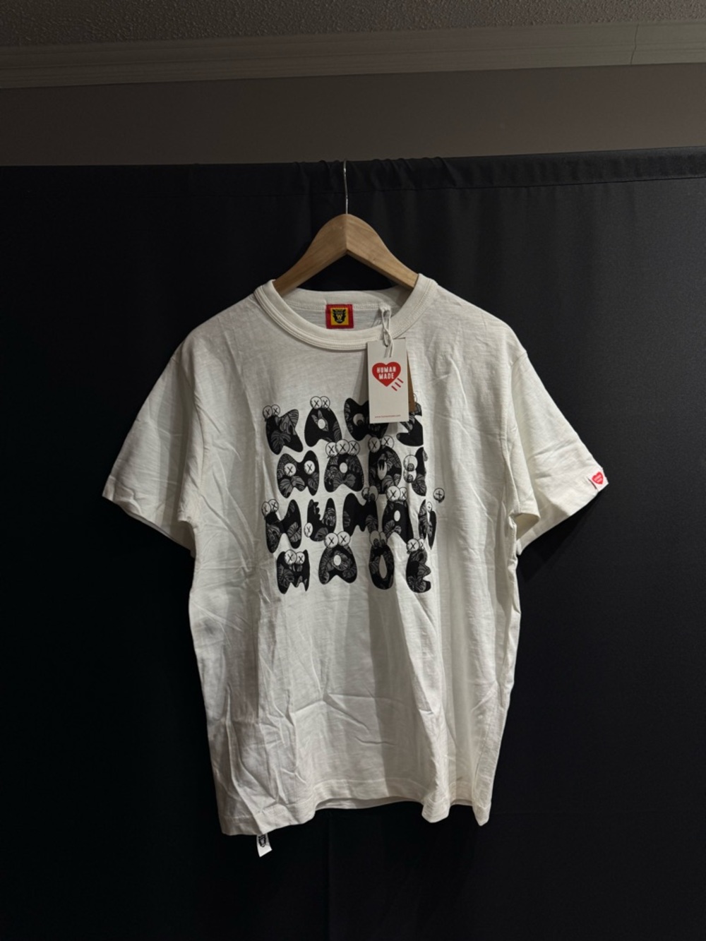 Kaws X Human Madel